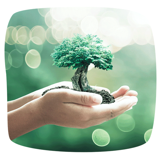 biocuidados-colaboracion